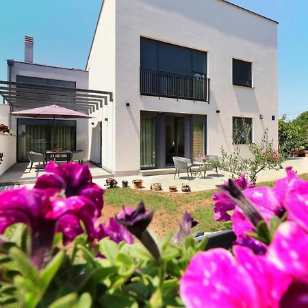 Papillon I Dolce Vita Tar-Vabriga Luaran gambar
