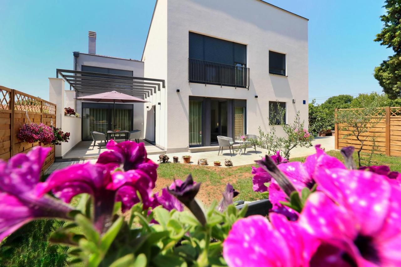 Papillon I Dolce Vita Tar-Vabriga Luaran gambar